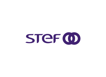 3_STEF